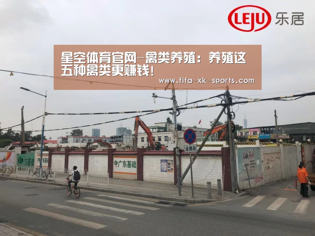 星空体育官网