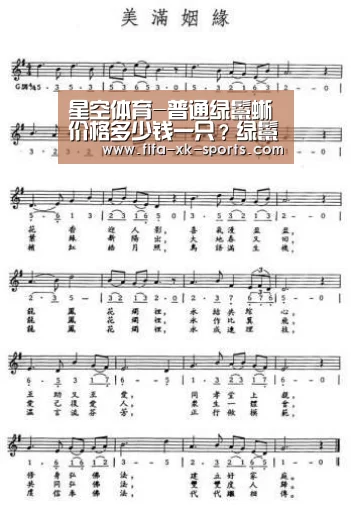 星空体育-普通绿鬣蜥价格多少钱一只?绿鬣蜥一天吃多少?(图2) 星空体育官网