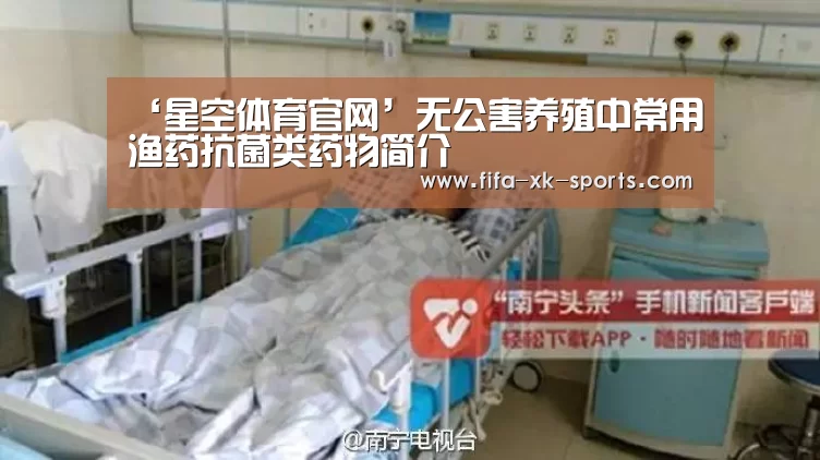 星空体育官网入口