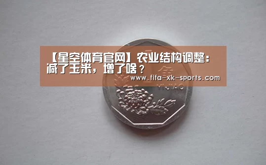 星空体育中国
