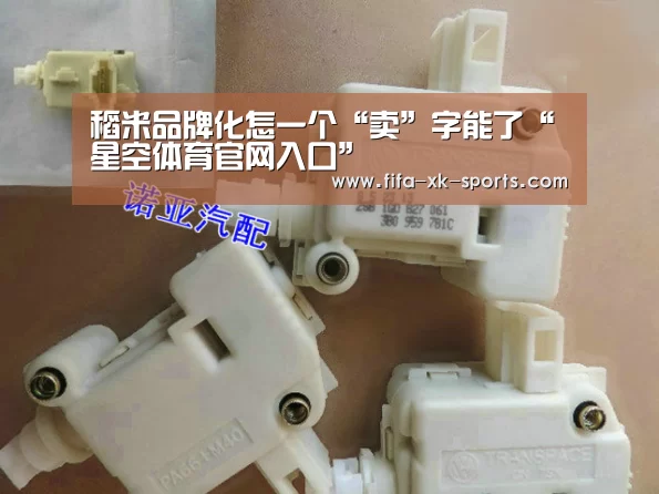 星空体育官网入口