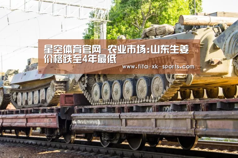 星空体育官网-农业市场:山东生姜价格跌至4年最低(图3) 星空体育官网