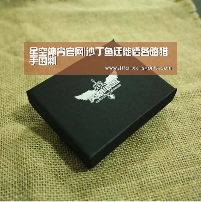 星空体育官网|沙丁鱼迁徙遭各路猎手围剿(图1) 星空体育