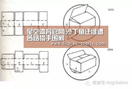 星空体育官网|沙丁鱼迁徙遭各路猎手围剿(图2) 星空体育