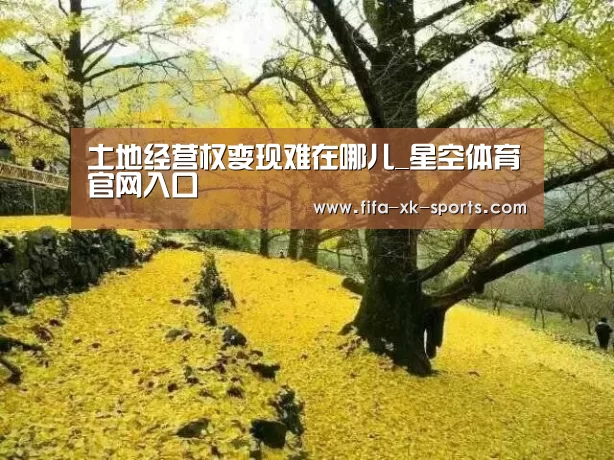 土地经营权变现难在哪儿_星空体育官网入口(图1) 星空体育